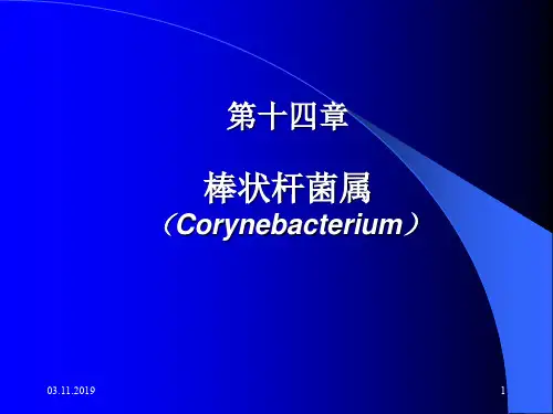 第14章棒状杆菌-文档资料22页