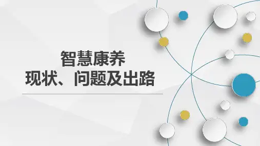 智慧康养现状、问题及出路_讲座课件PPT