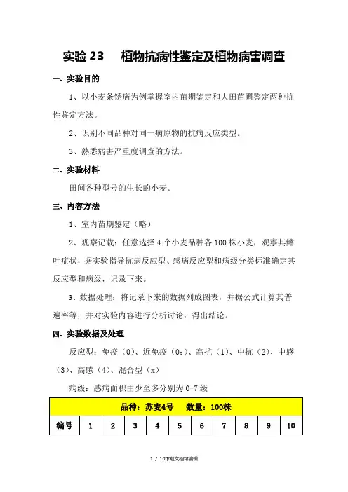 小麦抗病性及病害调查实验报告