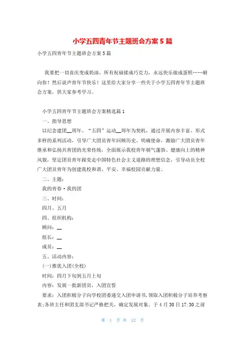 小学五四青年节主题班会方案5篇