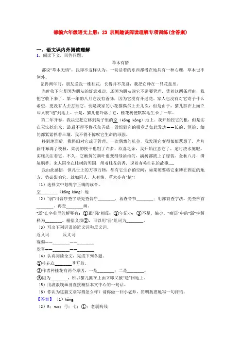 部编六年级语文上册：23 京剧趣谈阅读理解专项训练(含答案)