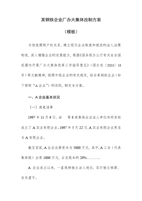 钢铁企业厂办大集体改制方案