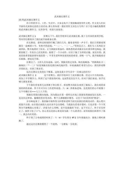 武术操比赛作文_6