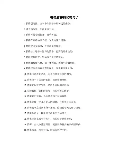 赞美腊梅的优美句子