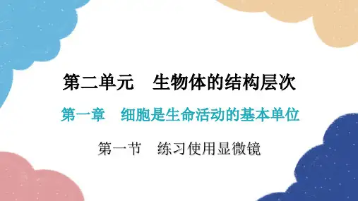 人教版生物七年级上册2.1.1练习使用显微镜课件(共40张PPT)