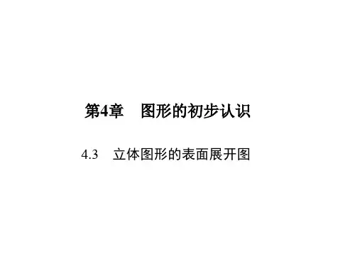 立体图形的表面展开图PPT课件(华师大版)