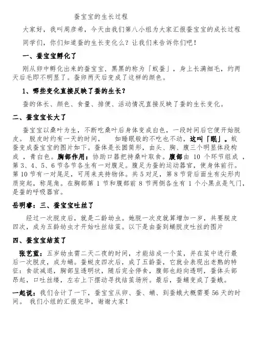 蚕宝宝的生长过程