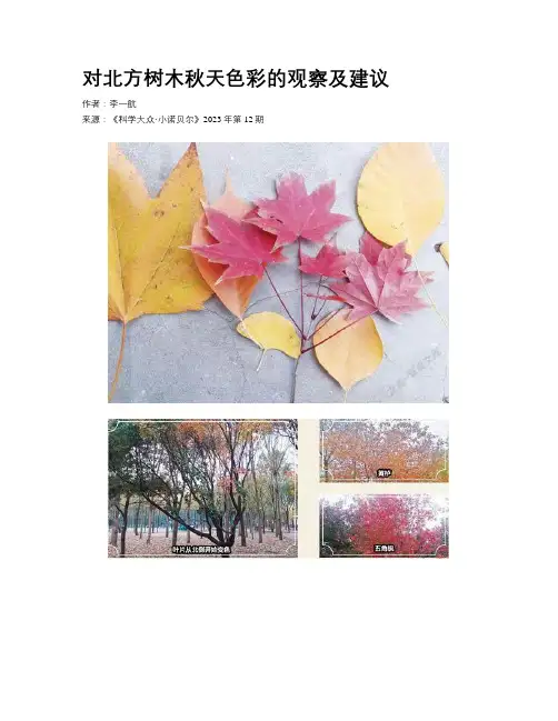 对北方树木秋天色彩的观察及建议
