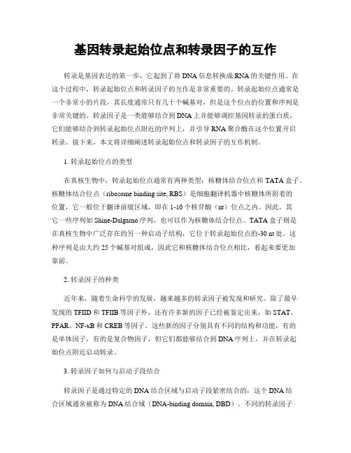 基因转录起始位点和转录因子的互作