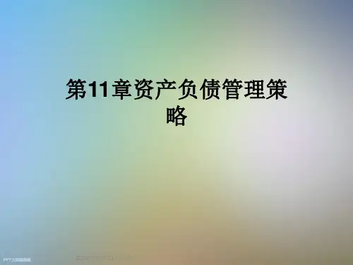 第11章资产负债管理策略