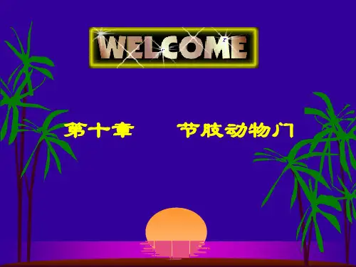 无脊椎动物学-节肢(蛛形纲、多足纲和昆虫纲)