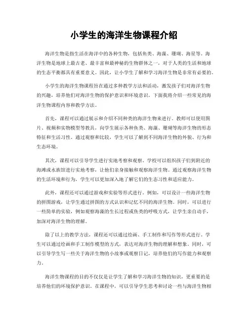 小学生的海洋生物课程介绍