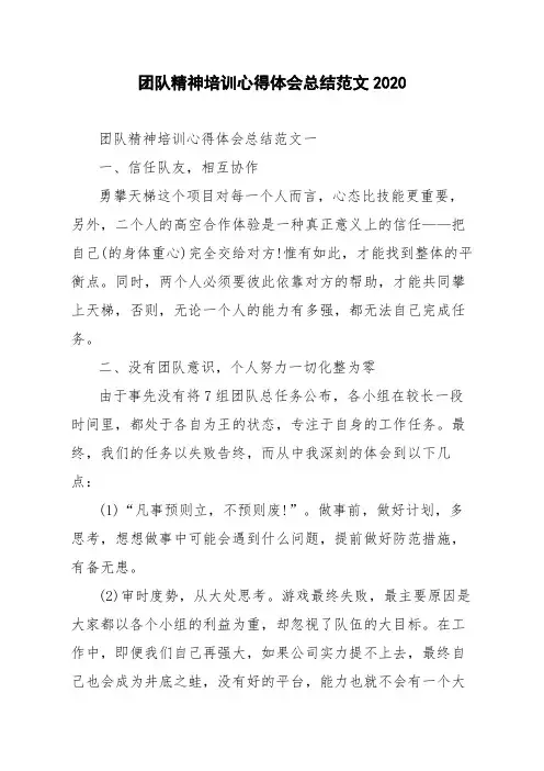 团队精神培训心得体会总结范文2020