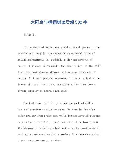 太阳鸟与梧桐树读后感500字