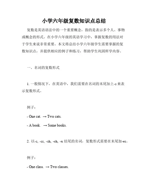 小学六年级复数知识点总结