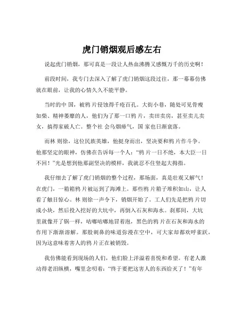 虎门销烟观后感左右