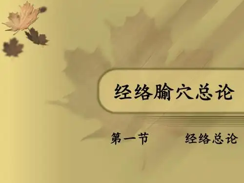 经络腧穴总论