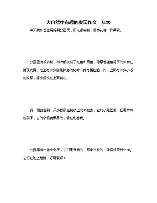 大自然中有趣的发现作文二年级