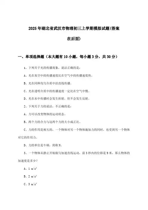2025年湖北省武汉市初三上学期物理试题及答案指导