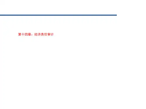 第十四章：经济责任审计