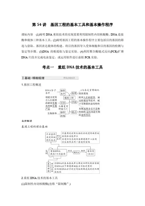 2025高考生物总复习基因工程的基本工具和基本操作程序