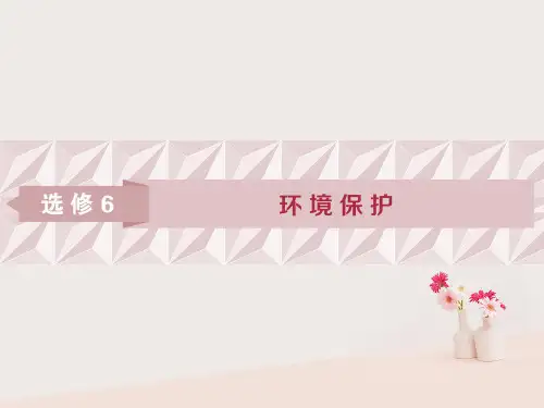 高考地理一轮复习环境保护第44讲环境保护课件湘教版选修60907228