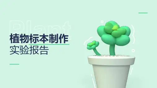 植物标本制作实验报告PPT案例