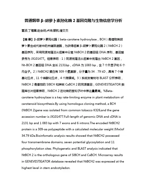 普通烟草β-胡萝卜素羟化酶2基因克隆与生物信息学分析