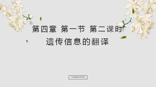 高中生物必修2《第3章遗传信息的复制与表达第2节遗传信息的表达一基因控制蛋...》355北师大PPT课件