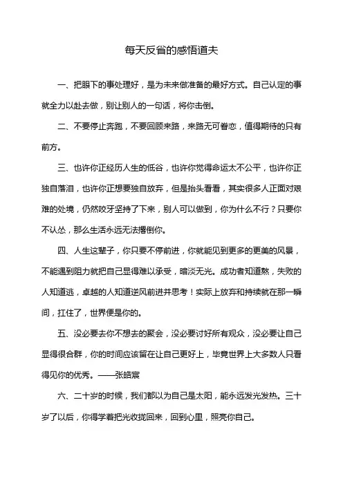 每天反省的感悟道夫