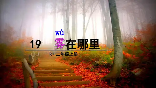 最新人教部编版二年级语文上册第19课《雾在哪里》优秀课件