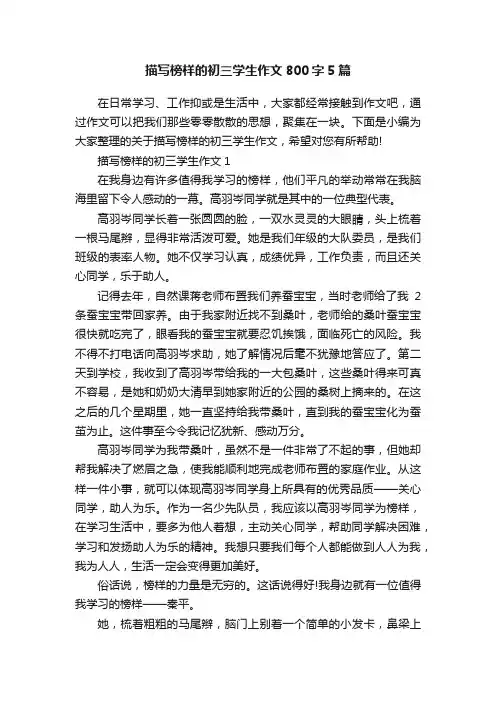 描写榜样的初三学生作文800字5篇