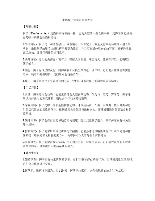 素描狮子知识点总结大全