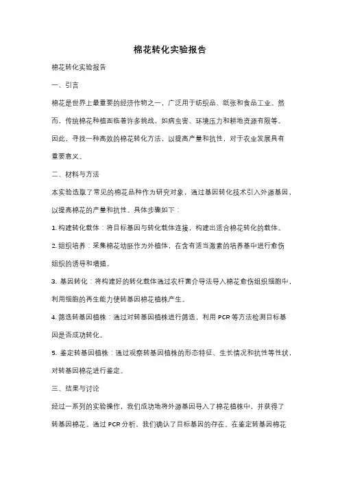 棉花转化实验报告