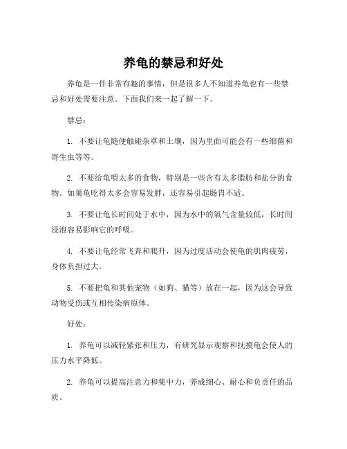 养龟的禁忌和好处