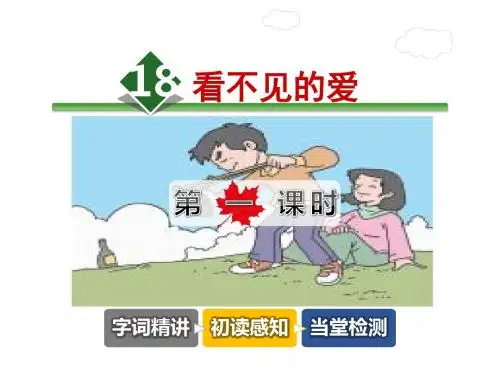 看不见的爱PPT
