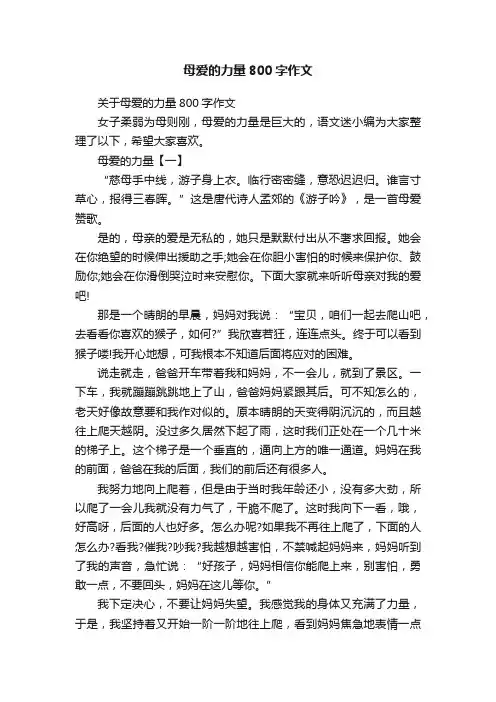 关于母爱的力量800字作文