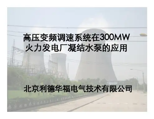 凝结水泵高压变频器应用演讲资料