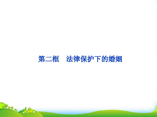 高中政治 专题五第二框 法律保护下的婚姻课件 新人教选修5