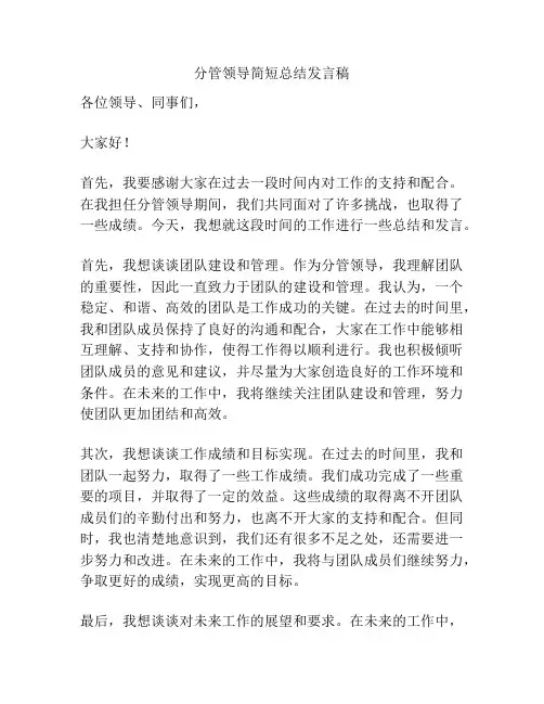 分管领导简短总结发言稿