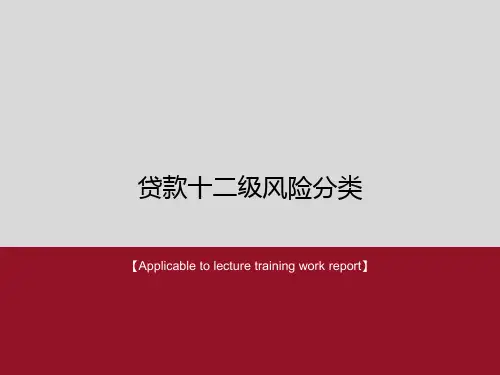《贷款十二级风险分类》PPT模板