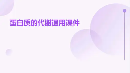 蛋白质的代谢通用课件