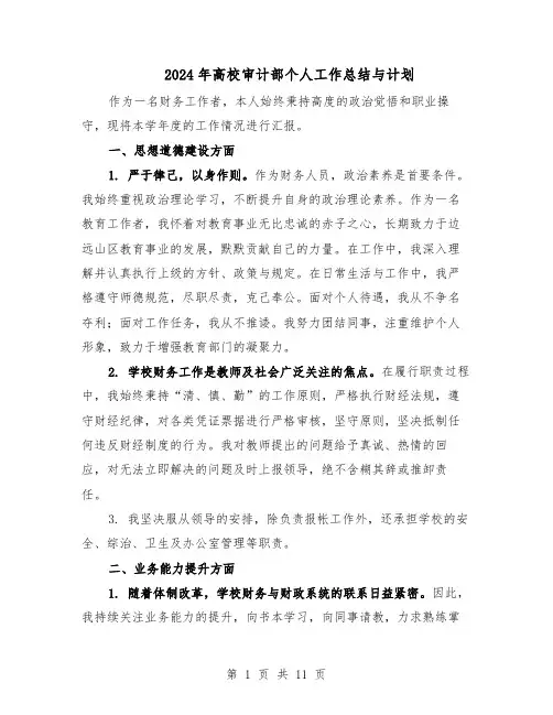 2024年高校审计部个人工作总结与计划（六篇）