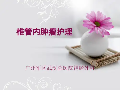 椎管内肿瘤PPT课件
