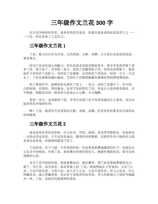 三年级作文兰花300字