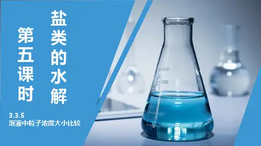 高中化学选择性必修1第三章第三节盐类水解(粒子浓度大小比较)