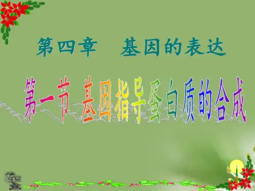 基因指导蛋白质的合成ppt15 人教课标版精选教学PPT课件