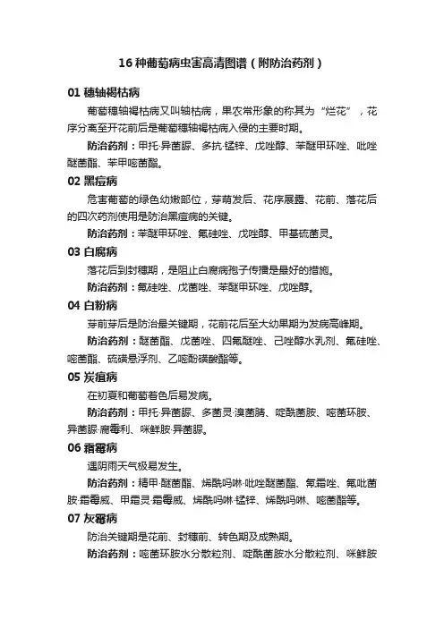 16种葡萄病虫害高清图谱（附防治药剂）
