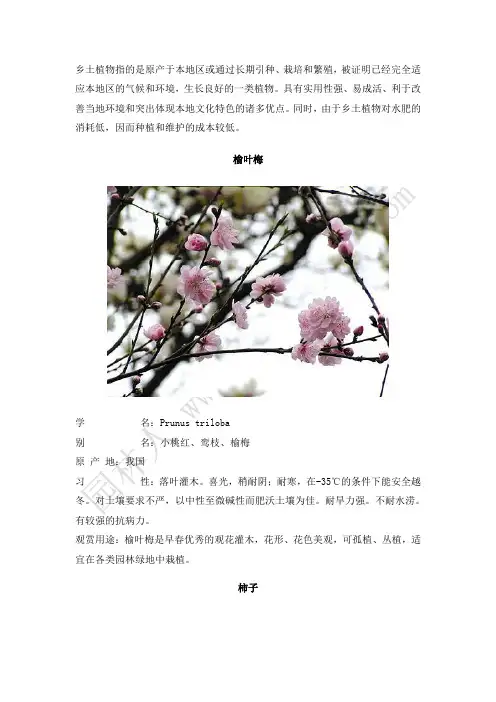 36种北京地区乡土植物介绍