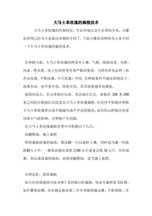 大马士革玫瑰的栽植技术.doc
